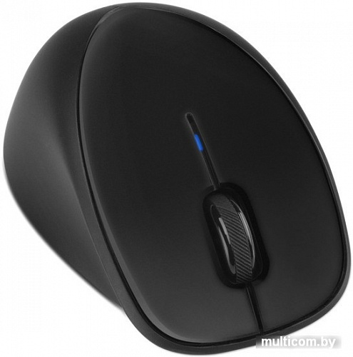 Мышь HP Comfort Grip Wireless Mouse (H2L63AA)