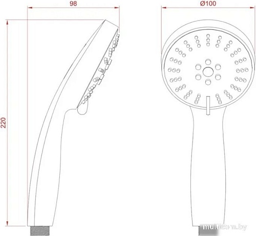 Душевая лейка Diadonna D10-19031