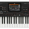 Синтезатор KORG Pa4X Oriental 76