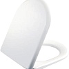 Сиденье для унитаза Creavit Terra KC2203.01.0000E