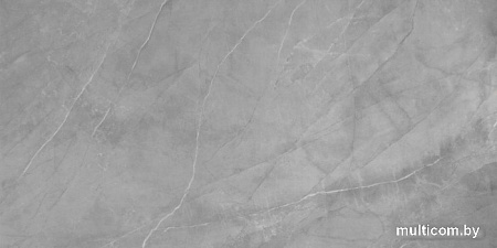 Виниловый пол Aspenfloor SPC Natural Stone XXL Нотр Дам NS5-12