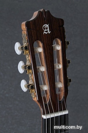 Акустическая гитара Alhambra Conseatory 7 P