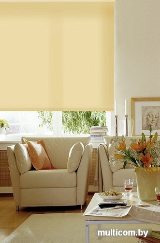 Рулонные шторы Эскар 68x170 311120681701 (светлый абрикос)