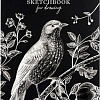 Блокнот ArtSpace Black line. Bird SkА420_38360 (20 л)