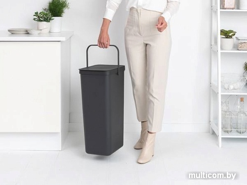 Контейнер для мусора Brabantia Sort & Go 40 л (серый)