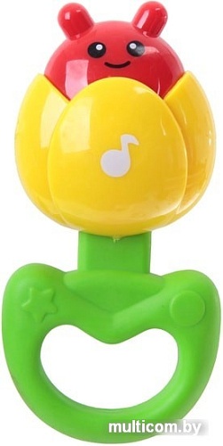 Сортер Bondibon Baby You Жучок ВВ1480