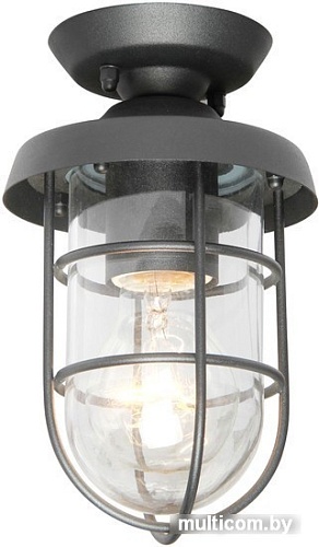 Садовый светильник Favourite Pointer 3021-1P