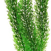 Искусственное растение Barbus Роголистник Plant 015/20 (зеленый)