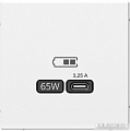 Розетка Type-C Systeme Electric ArtGallery GAL000127