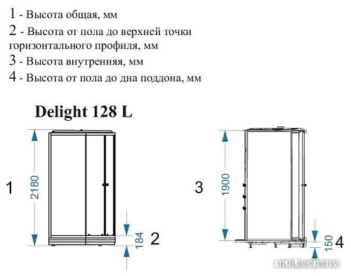 Душевая кабина Domani-Spa Delight 128 120x80 L с гидромассажем (черный/тонированное)