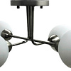 Люстра средней высоты Mirastyle BL-15076/4 SN