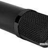 Микрофон Biema BM700
