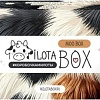 Подарочный набор Milota Box Moo Box MB134