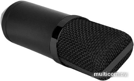 Микрофон Biema BM700