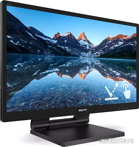 Монитор Philips 242B9TL/00