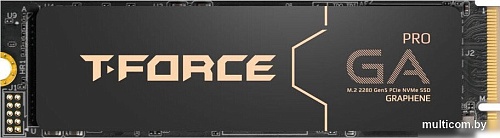 SSD Team T-Force GA PRO 1TB TM8FFJ001T0C129