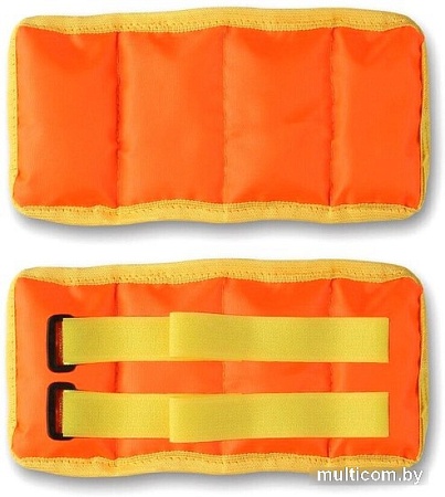 Комплект утяжелителей Indigo Классика SM-148 (2x0.5 кг, оранжевый)