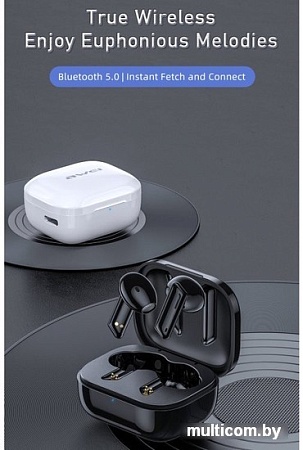 Наушники Awei T36 (черный)