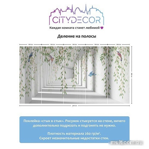 Виниловые обои Citydecor Flower Tunnel 3D 1 500x260