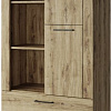 Шкаф распашной Anrex Doorset 1D2S3N (дуб наварра)