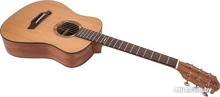 Акустическая гитара Baton Rouge AR11C/TB
