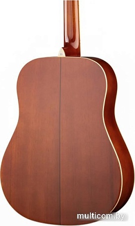 Акустическая гитара Naranda DG220BS