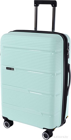 Чемодан-спиннер Pride РР-203 (L, мятный)