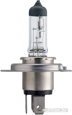 Галогенная лампа Philips H4 LongLife EcoVision 2шт [12342LLECOS2]