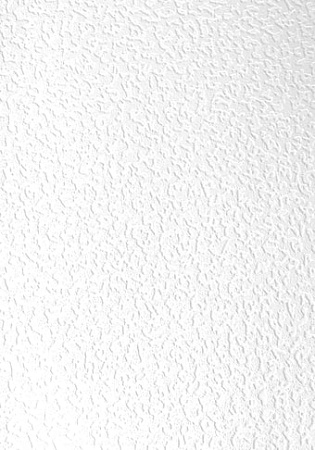 Виниловые обои Erismann Defender 2855_1