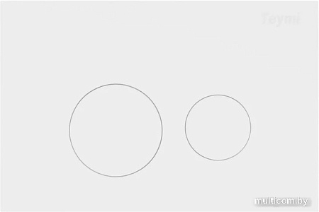 Панель смыва Teymi Lina T70019WM (белый матовый)