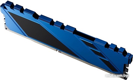 Оперативная память Netac Shadow NTSDD4P32SP-08B