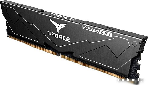 Оперативная память Team T-Force Vulcan 2x32ГБ DDR5 6000 МГц FLBD564G6000HC38ADC01
