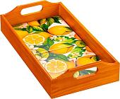 Поднос Elan Gallery Лимоны 220199