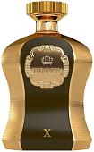 Парфюмерная вода Afnan Highness X Brown EdP (100 мл)
