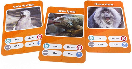 Настольная игра GaGa Games Это факт! Зоопарк