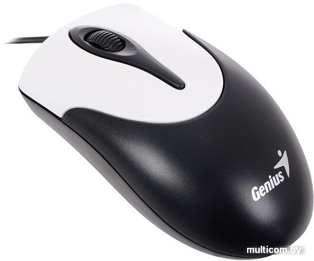 Мышь Genius NetScroll 100 V2 (черный)