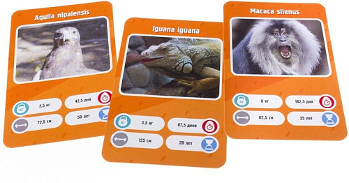 Настольная игра GaGa Games Это факт! Зоопарк