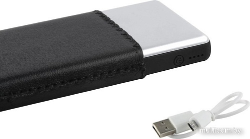 Внешний аккумулятор Red Line PDP-3A 10000mAh (серебристый)