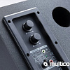 Акустика Microlab M110