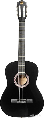 Акустическая гитара ROKSO FT-C-B39-BK