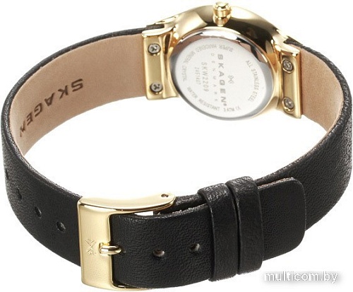Наручные часы Skagen SKW2209