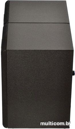 Акустика Hyundai H-HA100