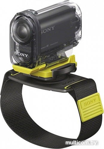 Sony AKA-WM1