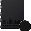Общая тетрадь Erich Krause Megapolis черный 80 л клетка 50656