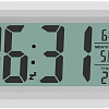 Радиочасы Ritmix CAT-100 (белый)