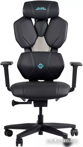 Офисное кресло GMNG GG-CH210B (черный)