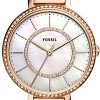 Наручные часы Fossil Jocelyn ES4452