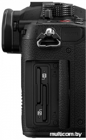 Panasonic DC-GH5S Body