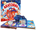 Энциклопедия издательства Malamalama Интерактивная энциклопедия. Анатомия 9785001345848
