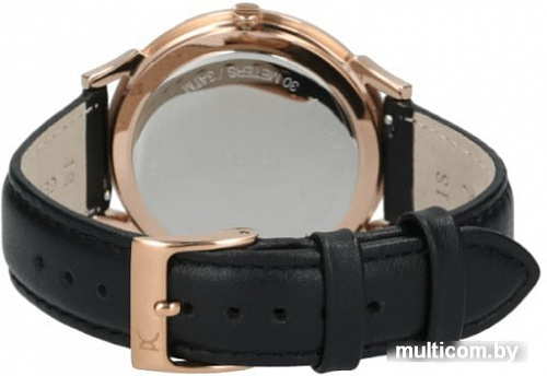 Наручные часы Pierre Cardin Pigalle Plissee CPI.2003